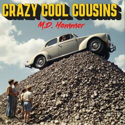 CRAZY COOL COUSINS