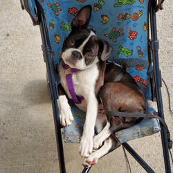 dont think we could help it