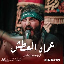 عماه العطش | محمد الفاطمي (حسينية باب الحسين)
