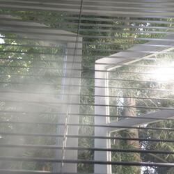 TOM and JERRY (p. skelli & yuney lae)