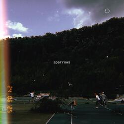 pseudonym (feat. .Less.Is.More.)