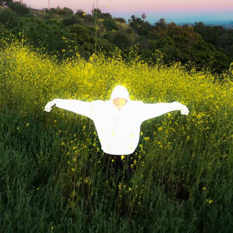 Meditation Music