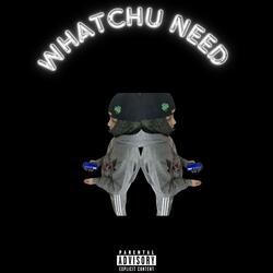 DONT TRUST NO 1