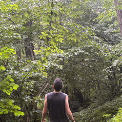 Shenandoah