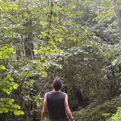 Shenandoah