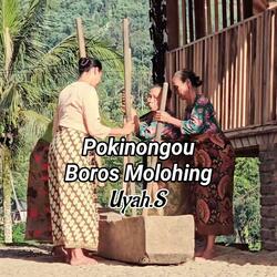 Pokinongou Boros Molohing