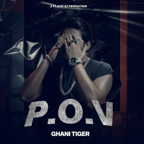 P.O.V