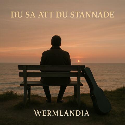 Du sa att du stannade