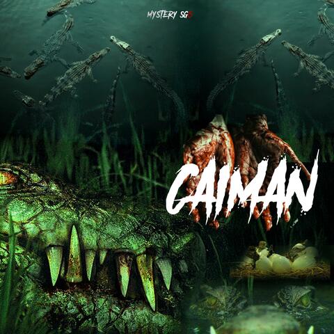 Caimán Caimán