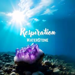 Respiration