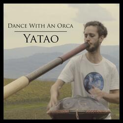 Dance with an Orca