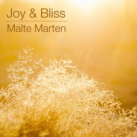 Joy & Bliss