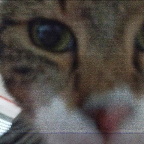 Negli Occhi