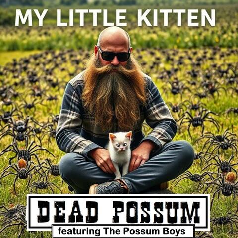 My Little Kitten