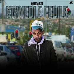 Kgwedi E Fedile