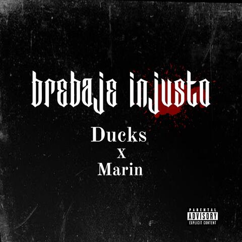 Brebaje Injusto
