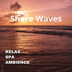 Shore Waves
