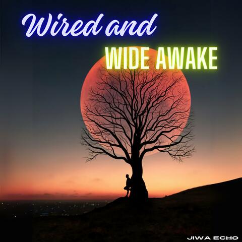 Wired And Wide Awake