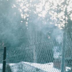 muzzle // 100mg serequel