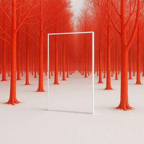 MIRRORS: A