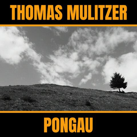 Pongau