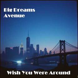 Wish You Were Around