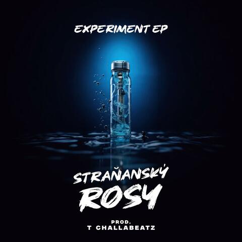 Experiment (feat. T Challabeatz)