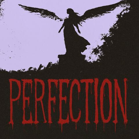 PERFECTION