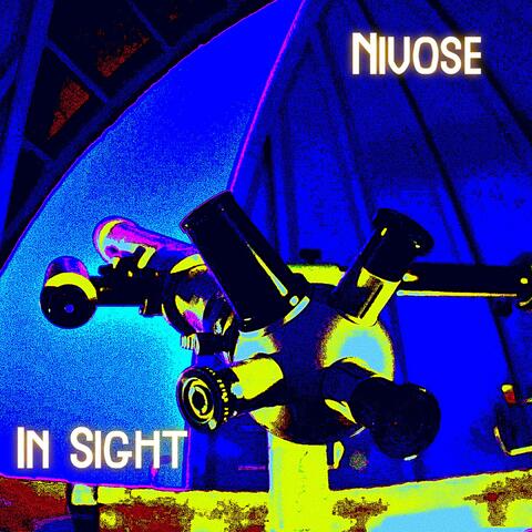 In Sight