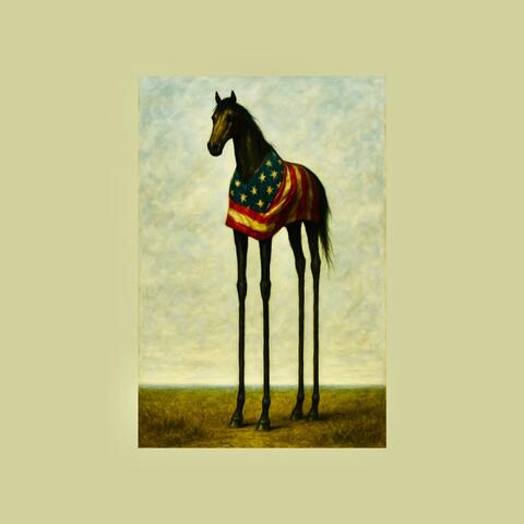 voice of the free ll