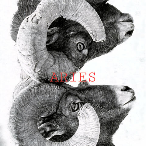 ARIES