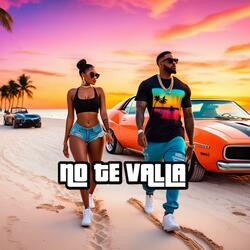 NO TE VALLA