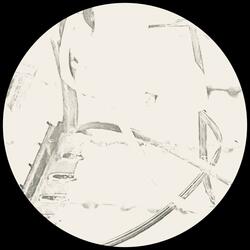 Marsh Harrier (longform)