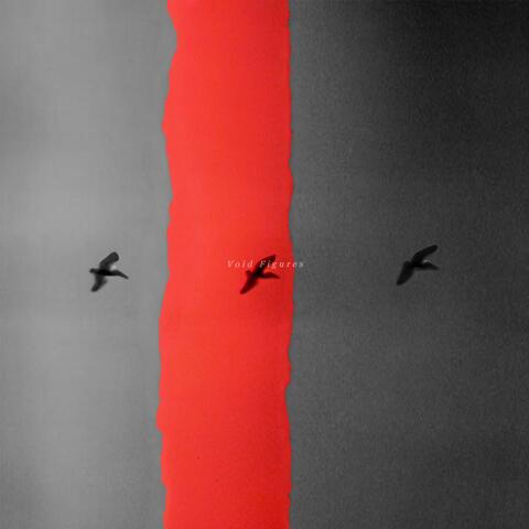 Void Figures