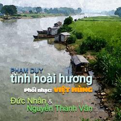 Tình Hoài Hương (feat. Đức Nhân)