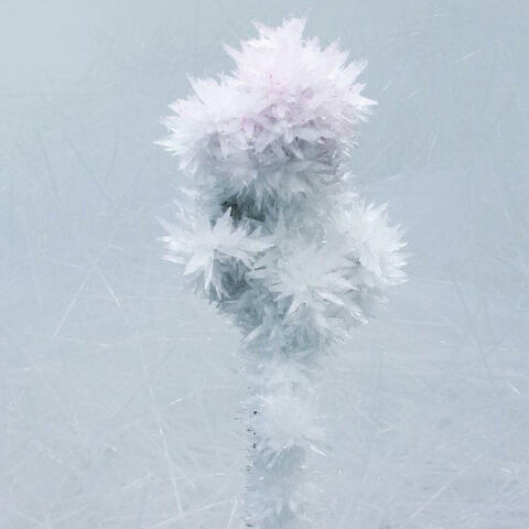 Dancing crystals