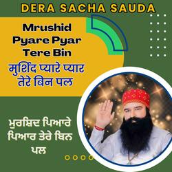 Murshid Pyare Pyar Tere Bin Pal