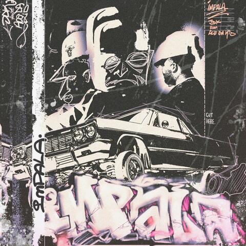 Impala