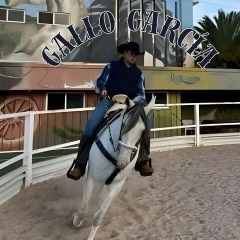 El Gallo García