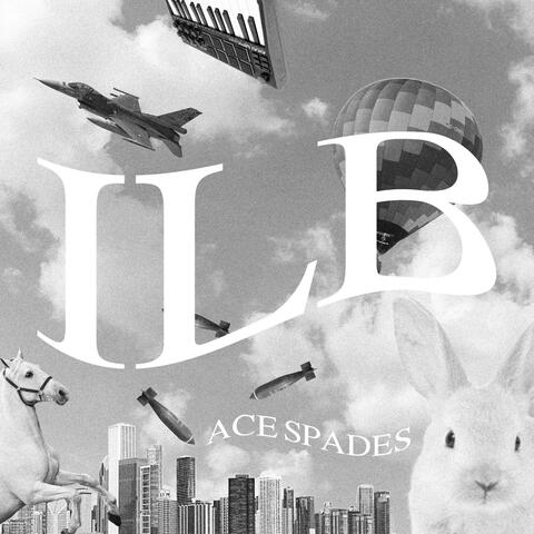 ILLINOIS BOY (INSTRUMENTALS)