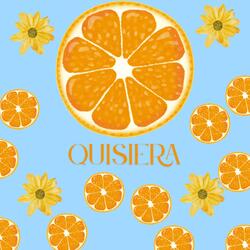 Quisiera