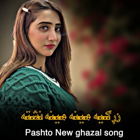 زړګيه صبرشه مینه مینه نشته || Zargiya mena mena nashte || پښتو غزل