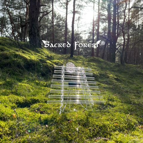 Crystal Harp (Sound Healing)