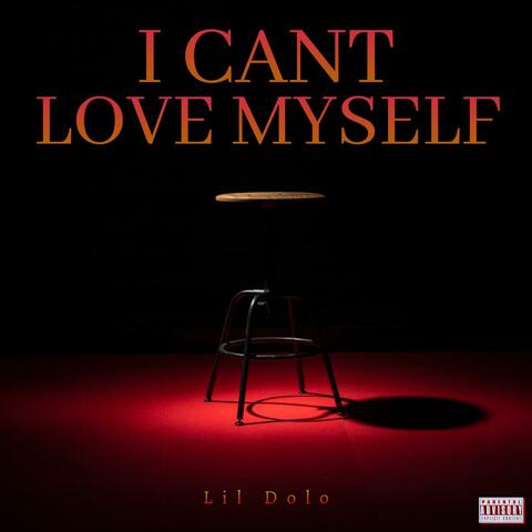 I Cant Love Myself