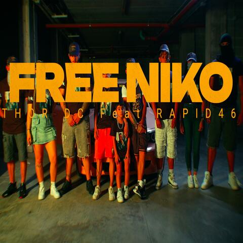 FREE NIKO