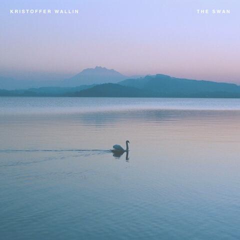 The Swan