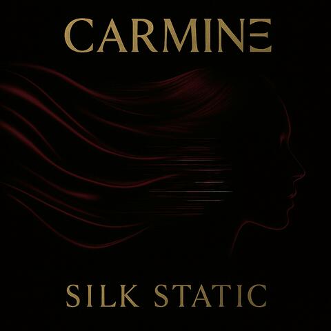 SILK STATIC