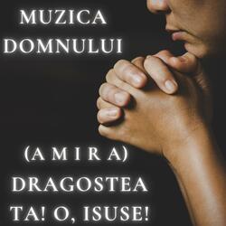 Dragostea Ta! O, Isuse! (feat. Amira)