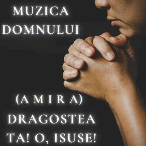 Dragostea Ta! O, Isuse! (feat. Amira)