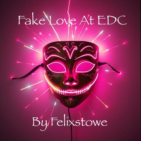 Fake Love At EDC